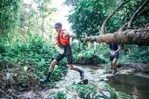 BIB: 
                            <button type="button" onclick="openModal(25431939)" class="btn btn-primary btn-sm float-right btn-popup" data-toggle="modal" data-target=".modal-high-quality">
                        <i class="fas fa-shopping-cart"></i> Add to Cart
                    </button>
                                            <button type="button" onclick="isThisMe(25431939, true)" class="btn btn-success btn-sm float-right btn-popup btn-isme hidden" data-toggle="tooltip" data-placement="bottom" title="นี่คือรูปของคุณใช่ไหม คลิกที่นี่เพื่อเอาเข้าอัลบั้ม">
                        <i class="fas fa-plus"></i> Add to album
                    </button>
                    <button type="button" onclick="isThisMe(25431939, false)" class="btn btn-warning btn-sm float-right btn-popup btn-isnotme hidden">
                        <i class="fas fa-ban"></i> Remove from album
                    </button>